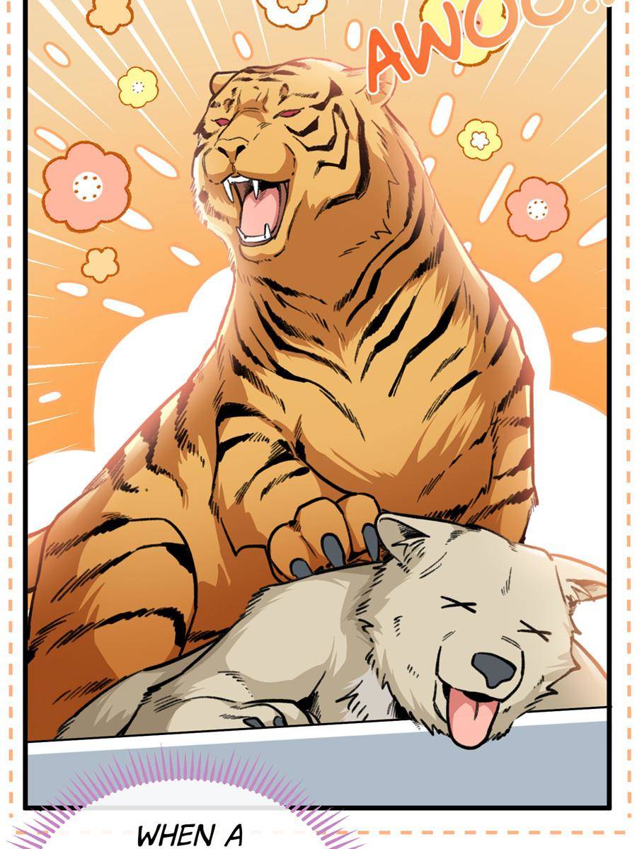 80554572 900 1200 141629